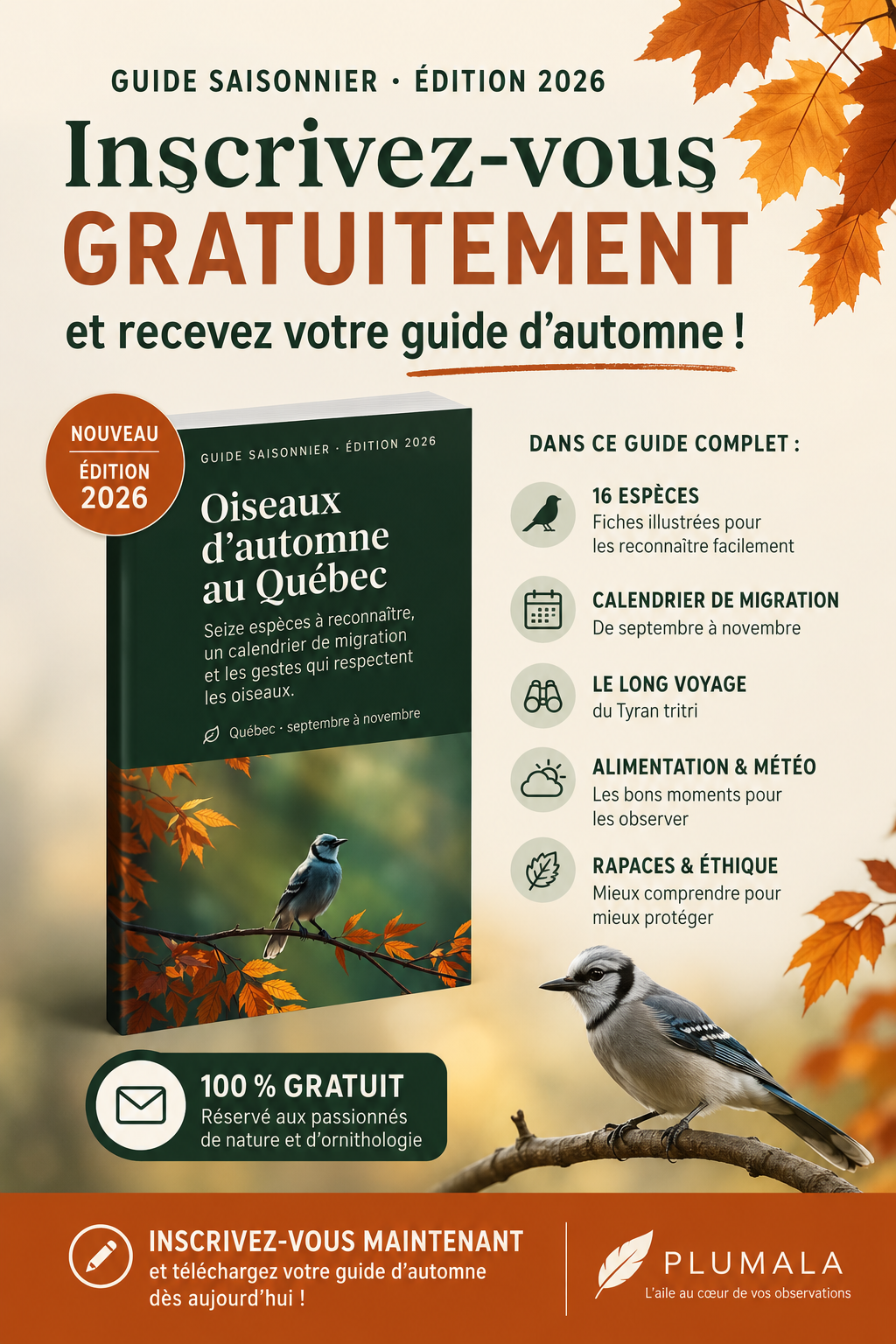 Affiche du guide saisonnier Plumala — Oiseaux d’automne au Québec, 16 espèces, calendrier de migration, 100 % gratuit